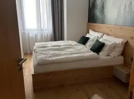 Apartmán Janské Lázně