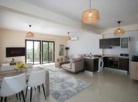 Palmove Tersefanou Apt 201