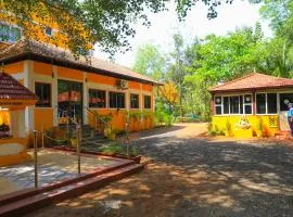 Auro Wellness Castle