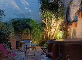 Maison de caractère au coeur des vignes et du Canal du Midi