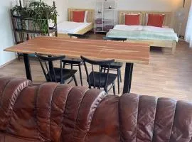 Apartment s terasou Lysá
