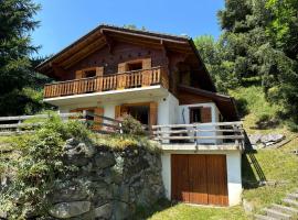 Chalet La Madelon - Idéal pour les grandes familles，位于Hérémence的酒店