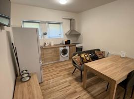 Apartmán v Jáchymově pro 4 osoby, free wifi，位于亚希莫夫的酒店