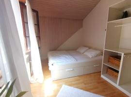 II Cozy Rooftop lakeside 18min to Zürich HB 25min to Zug，位于豪尔根的酒店