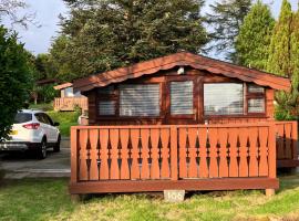 Snowdonia luxury log cabin，位于特兹西尼德的木屋