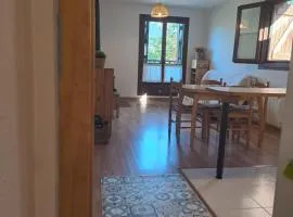 LA GINESTA 3, Apartaments de muntanya