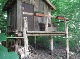 Baumhausnächte