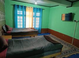 Padmaling guest house zanskar eco camp，位于Padam的酒店