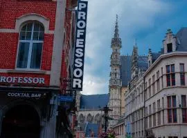 Hotel Professor Leuven Centrum