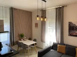 Schönes Apartment am Rhein - Zentral