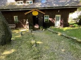 Busil v Pekelském údolí