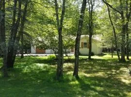 Serenity and Fun all in one in this Cozy Pocono Cabin