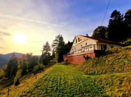 Gîte du Mont d'Air 4 étoiles, au cœur du massif vosgien, bain nordique，位于旺特龙的酒店