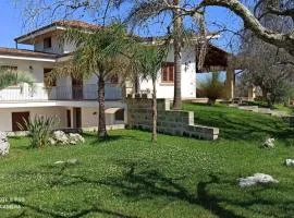 Anna's House