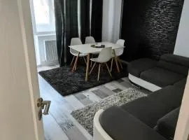 Apartament Roman