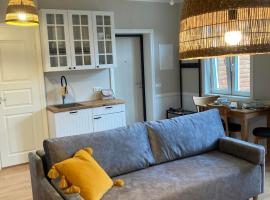 Linnupesa Apartment，位于维尔扬迪的酒店