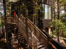 Black Spruce - Orange Door