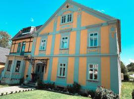 Villa Hänsch Dep 07，位于大舍瑙的酒店