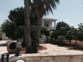 Erini Villa