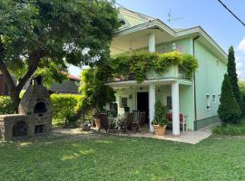 Danube Villa with swimming pool，位于Pasuljište的酒店