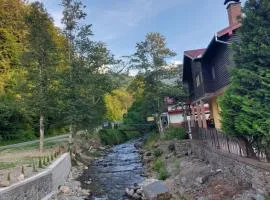 Dor de Munte Transfăgarasan