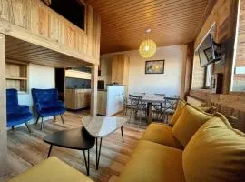 T2 cabine Courchevel avec accès piste, parking et wifi - FR-1-514-22