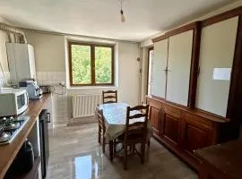 100metres du château au 116 Rue de la République vizille