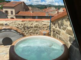 Le 19 - 38m2 Terrasse Jacuzzi - Centre Historique - Clim，位于Langeac的酒店