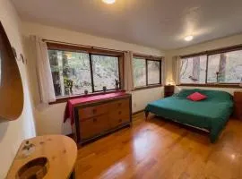 Little House in the Redwoods with a hot tub!