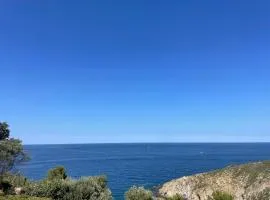 Studio-cabine à Banyuls-sur-Mer climatisé, terrasse, parking, Wi-Fi - FR-1-309-210