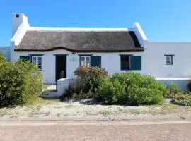 Nautilus In Langezandt Struisbaai