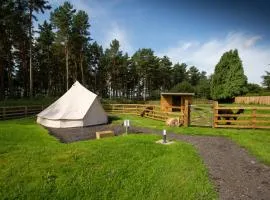 Tent 1