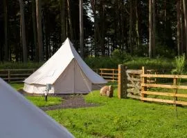 Tent 3