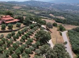 Tenuta Raimo