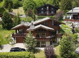 Grand chalet au centre，位于安塞热的酒店