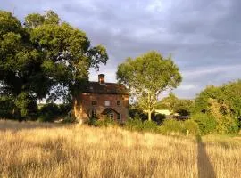 Oak Tree Farm