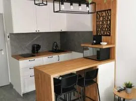 Klimatyczny apartament 104 nad Zalewem