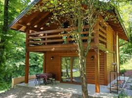 Kuća u šumi - Forest house near National park Una - Air Spa Lohovo，位于比哈奇的酒店