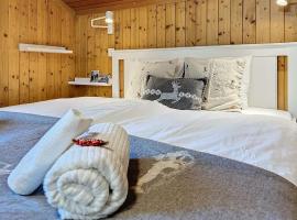 Appartement STERN - Confort au coeur de Saas-Fee，位于萨斯费的酒店