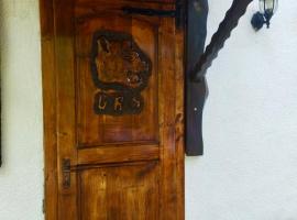 Pensiunea San Pio，位于Seini的酒店