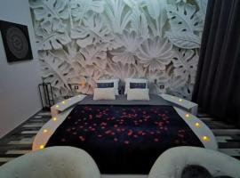 Cocon Etoilé SPA PRIVATIF ET CIEL ÉTOILÉ，位于勒阿弗尔的酒店