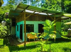 Jungle house