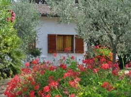 Charming House in Lacona + Garden