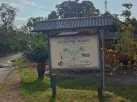 Gunung baru homestay