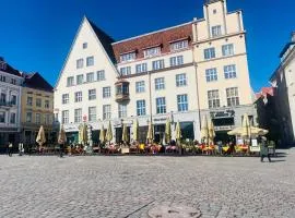 Cozy oldtown apartment next of Town hall square