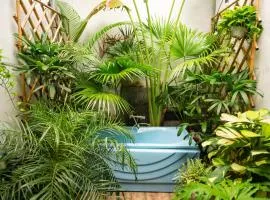 Old Quater Tropical House