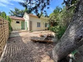 Mazet en Provence