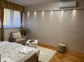 Stan na dan Siniša 2