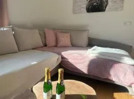 Silent City Apartments