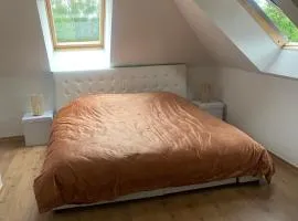 Guesthouse Business & Leisure stay